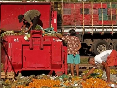 O QI médio do brasileiro reduziu nos últimos anos. : r/brasilivre