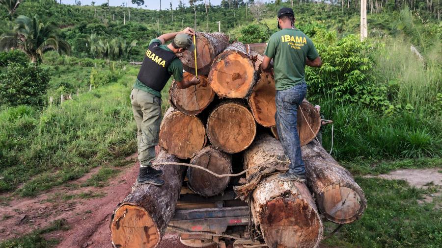 Agentes do Ibama atuam em operação de combate ao desmatamento - Arquivo-Divulgação/Ibama