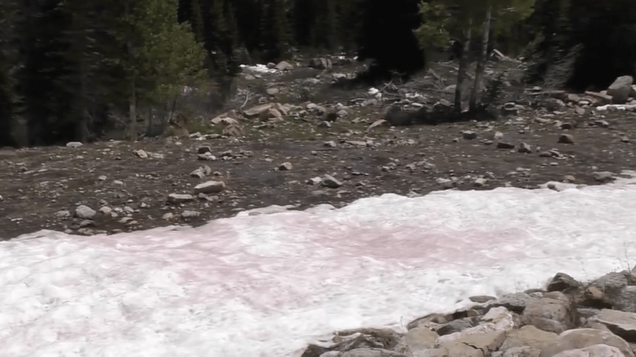 Neve rosada em Utah, nos Estados Unidos - Reprodução / Fox 13 Salt Lake City