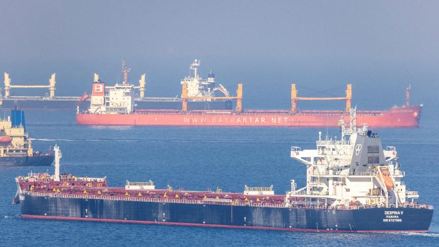 Navio cargueiro levando grãos ucranianos é visto no Mar Negro [Imagem de arquivo]