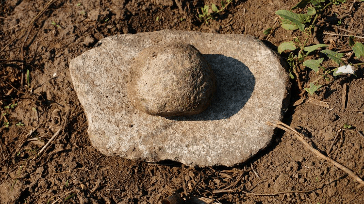 Entre os artefatos achados, estão pedras usadas na moagem de grãos, fragmentos de cerâmica e itens de bronze