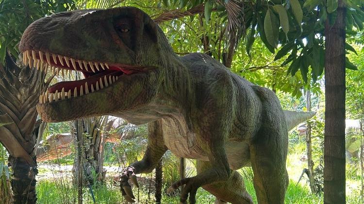 Giganotossauro, que viveu na América do Sul Giganotossauro, que viveu na América do Sul