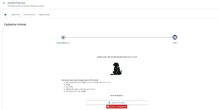 Tela de envio de foto do animal no Sinpatinhas, sistema para cadastro de cães e gatos do governo federal Tela de envio de foto do animal no Sinpatinhas, sistema para cadastro de cães e gatos do governo federal