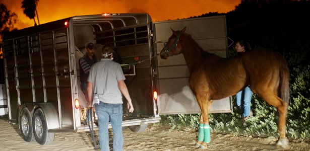 Voluntários ajudam a resgatar cavalos que estavam presos em estábulo em Bonsall, Califórnia - Sandy Huffaker/AFP