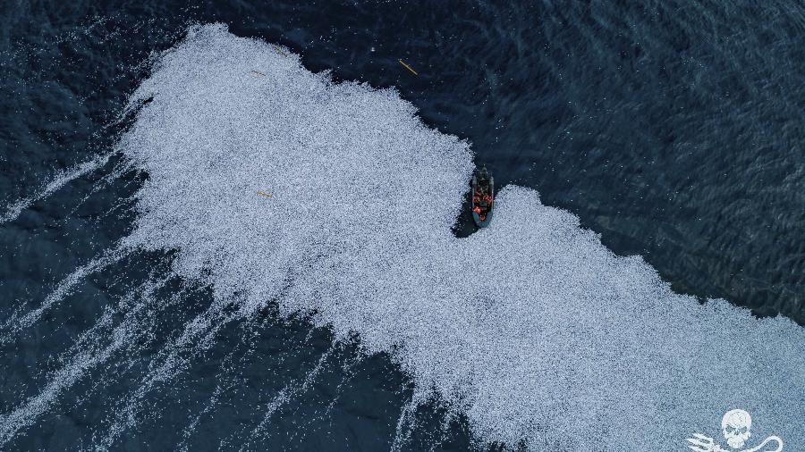 FV Margiris, segunda maior embarcação de pesca do mundo, derramou 100 mil peixes mortos no mar, na França - Reprodução/Sea Shepherd