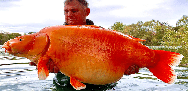 Pescador britânico impressiona comunidade pesqueira