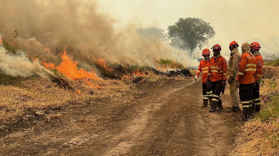 Bombeiros combatem incêndio florestal no Pantanal perto de Porto Jofre (MT)