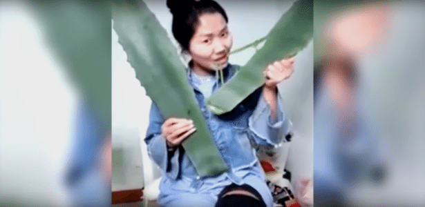 Chinesa come planta venenosa por engano durante transmissão ao vivo na internet - Youtube
