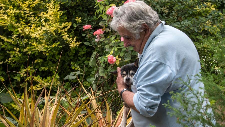O ex-presidente uruguaio, José Mujica, com sua cadela Manuela O ex-presidente uruguaio, José Mujica, com sua cadela Manuela