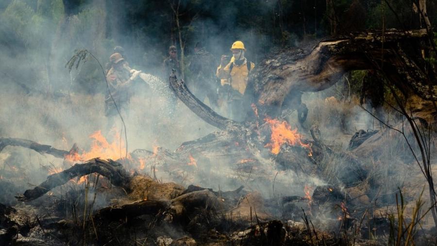 3.set.2019 - Novo Progresso, Pará: integrantes da Prevfogo, brigada do Ibama contra incêndios, combatem fogo na Amazônia - Gustavo Basso/NurPhoto via Getty Images