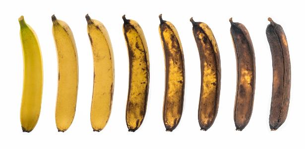 Apocalipse da banana? Cientista desvenda fungo que ameaça a fruta no mundo