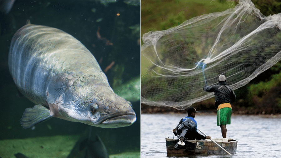 Isadora Brant/Folhapress e Pedro Lareira/AFP