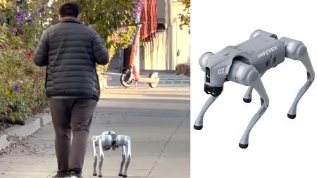 Cães robôs são utilizados em testes para aprimorar o desempenho de sistemas de inteligência artificial em ambientes reais Cães robôs são utilizados em testes para aprimorar o desempenho de sistemas de inteligência artificial em ambientes reais