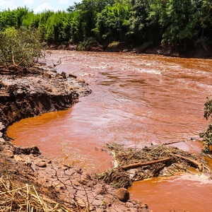 Cadu Rolim/Foto Arena/Estadão Conteúdo