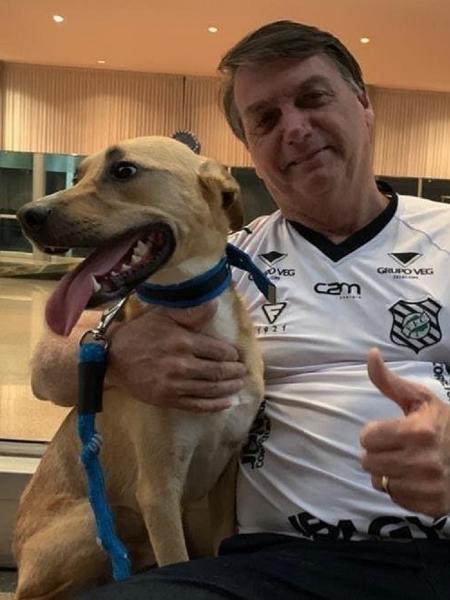 Bolsonaro compartilhou imagem ao lado do cachorro nas redes sociais - Reprodução/Instagram