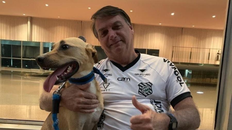 Bolsonaro compartilhou imagem ao lado do cachorro nas redes sociais - Reproduo/Instagram