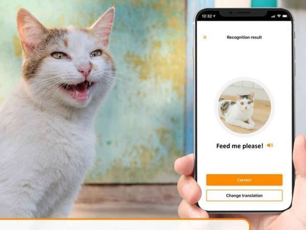 Adeus à bolinha: gatos já jogam no smartphone, mas isso é bom para