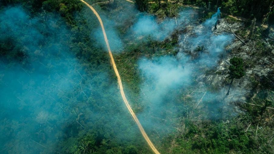 A terra indígena Ituna Itatá, no Pará, liderou o ranking das mais desmatadas nos últimos anos  - Fábio Nascimento/Greenpeace