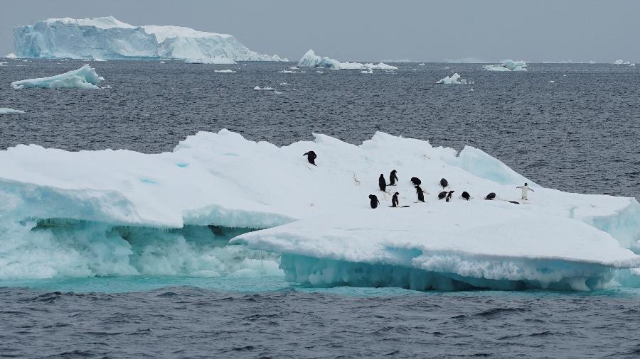 Em 2023, Antártida teve menor extensão de gelo marinho que se tem registro