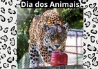 Dia dos animais: conheça mais sobre a vida em um Zoológico - Hully Paiva / SMCS. Divulgação Zoológico de Curitiba