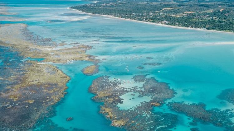 Catamarã levava grupo até piscinas naturais de Maragogi