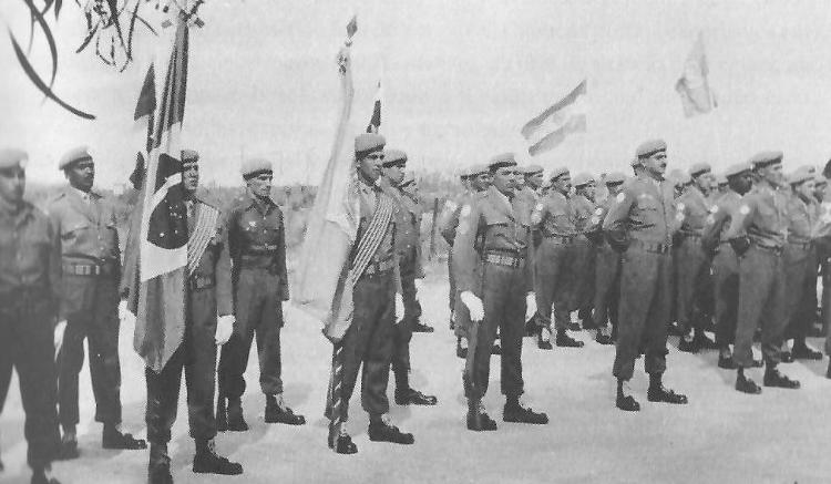 Coronel Stelson Ponce porta bandeira brasileira no batalhão Suez, formado por militares do paíss que atuaram em Gaza em 1957