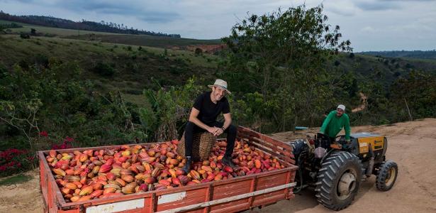 Cacau Show planta cacau e busca autossuficiência na produção, diz Alê Costa