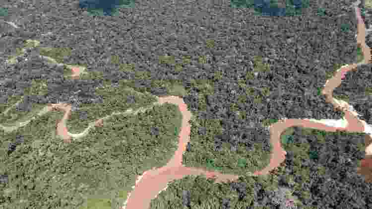 Imagem aérea do Parque Nacional da Serra do Divisor, no Acre, que será afetado por rodovia federal projetada pelo governo federal - André Dib - André Dib