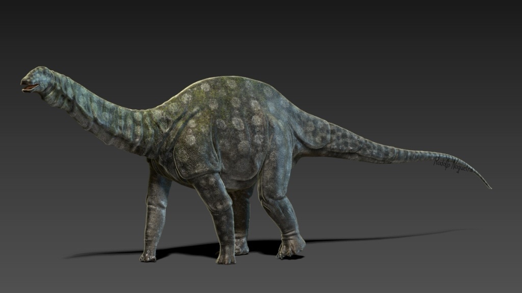 Rodolfo Nogueira / Divulgação