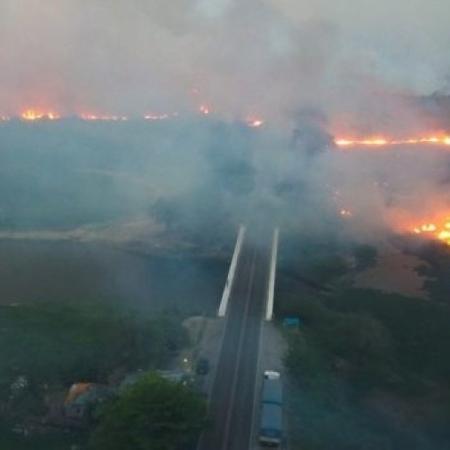 Especialistas falaram em reunião de comissão temporária na Câmara sobre queimadas em biomas brasileiros, com foco nos incêndios do Pantanal - Governo do MS/Divulgação