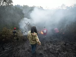 Lula cria comitê nacional para o combate a incêndios florestais