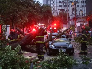 'Enxergamos a morte', diz passageira de carro destruído por queda de árvore em SP