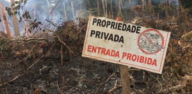 Invasores demarcam lotes e já começaram a desmatar a região de 39 mil hectares - Roberto Porro/ Embrapa
