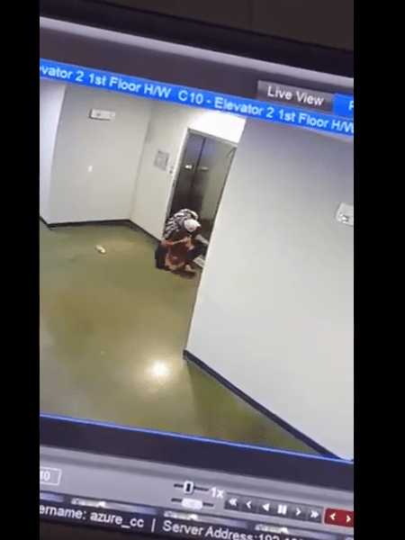 Câmera mostra momento em que vizinho salva cachorro que teve a guia presa no elevador - Reprodução/Twitter