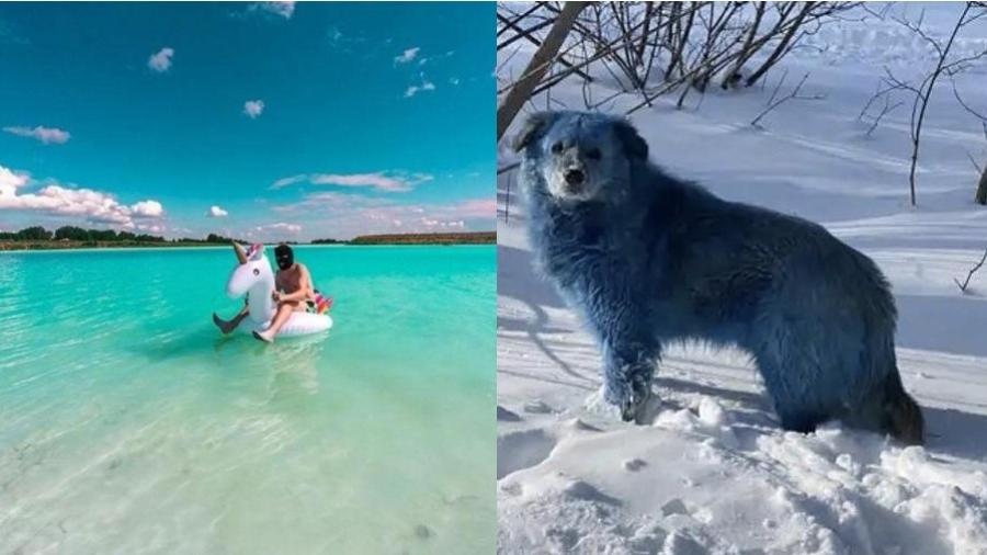 Lago apelidado de "Maldivas siberianas" (esq.) e cachorro com pelo azul visto (dir.) foram expostos a produtos químicos tóxicos - Reprodução