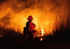 Incêndios em Los Angeles se alastram com ventos colocando milhões em risco - ETIENNE LAURENT / AFP