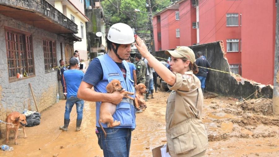 Prefeitura já resgatou cerca de 200 animais em região afetada pelas chuvas em Petrópolis - Evaldo Macedo/Cobea
