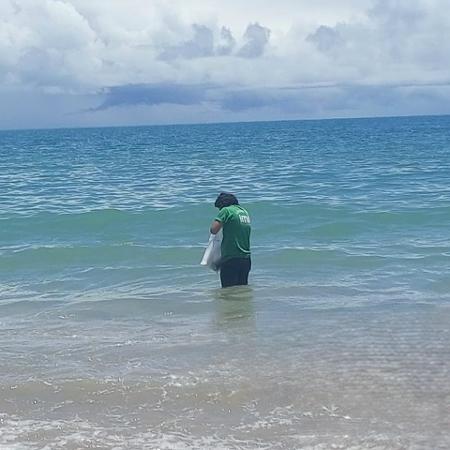 IMA coleta água do mar após suspeita de "maré vermelha" na praia de Carro Quebrado, na Barra de Santo Antônio (AL)