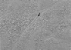 Sonda registra imagens de Plutão - NASA/JHUAPL/SwRI