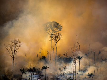 Agosto Atinge Recorde De Focos De Incendio No Ano No Brasil Acre E Pantanal Preocupam