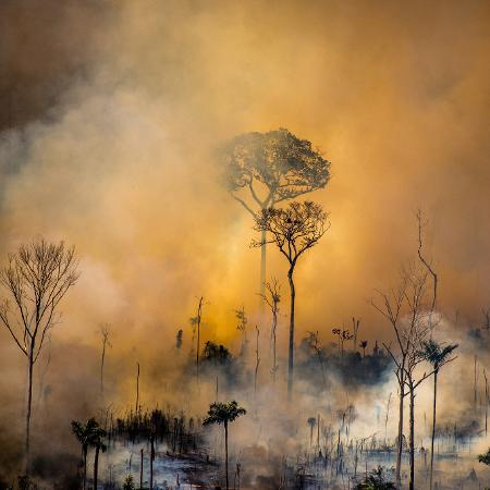 Foco de incêndio em ponto da Amazônia em agosto de 2020 - Christian Braga / Greenpeace