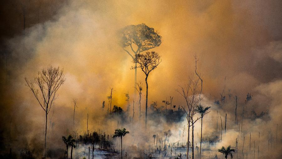 Foco de incêndio em ponto da Amazônia em agosto de 2020; papel da floresta como "reservatório de carbono" está ameaçado, creem cientistas - Christian Braga/Greenpeace
