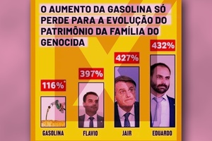 Comparação entre aumento da gasolina e patrimônio dos Bolsonaro é imprecisa (Foto: Projeto Comprova)