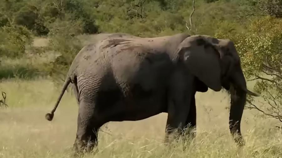 Homem de 43 anos era espanhol, informaram autoridades da África do Sul