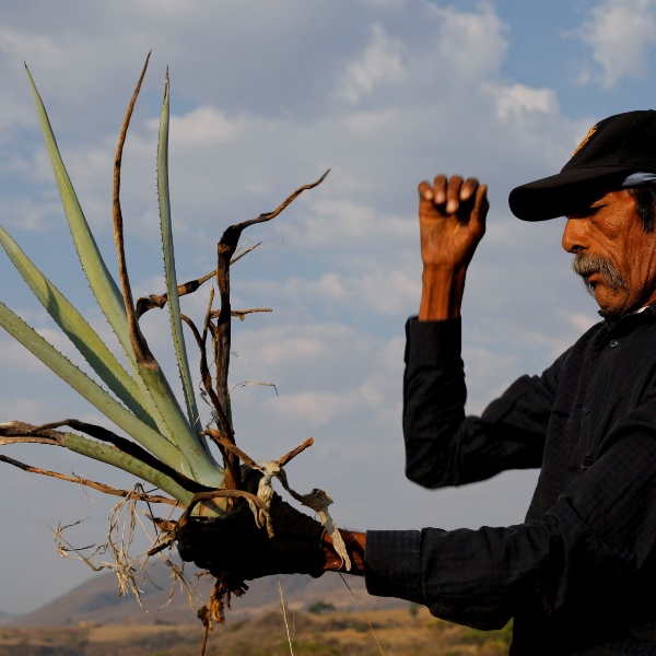Carlos Jasso/Reuters