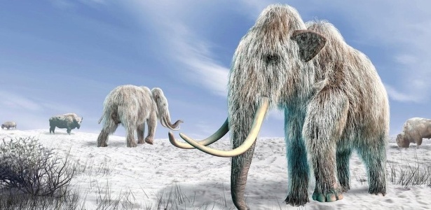 Seria possível clonar um mamute? - SPL