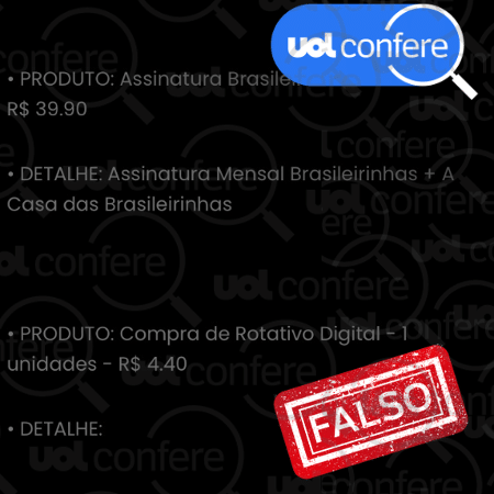 18.jan.2023 - Entre as informações obtidas de forma oficial até o momento, não constam os gastos divulgados pelo suposto site do Anonymous - Arte/UOL sobre Reprodução Site 