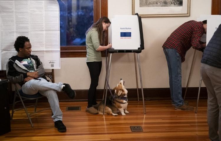 Uma cadela chamada Daisy observa enquanto seu dono preenche uma cédula em um local de votação no Observatório de Cincinnati em 5 de novembro de 2024 em Cincinnati, Ohio