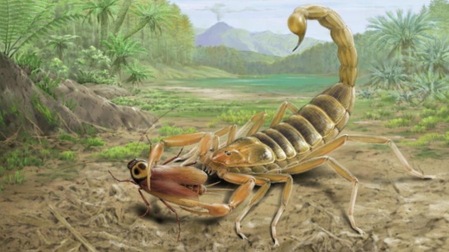 Jeholia longchengi, espécie inédita de escorpião com 125 milhões de anos encontrada na China Jeholia longchengi, espécie inédita de escorpião com 125 milhões de anos encontrada na China