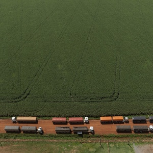 Associação de MT fará fiscalização própria contra Moratória da Soja
